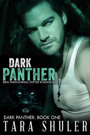 Dark Panther (BBW Paranormal Shifter Romance) - 20650299