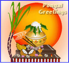 Image result for pongal festival images