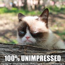 Image result for grumpy cat