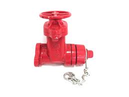 NEW AFC 222H FIRE HOSE VALVE 2-1/2" 25HGS W184379-1 8802333 ...