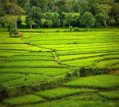 Hasil gambar untuk gambar pemandangan indah