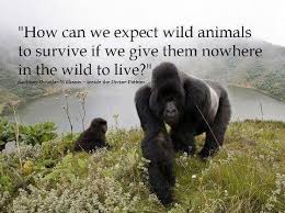 Quotes About Surviving In The Wild. QuotesGram via Relatably.com