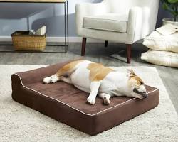Image of KOPEKS Orthopedic Dog Bed