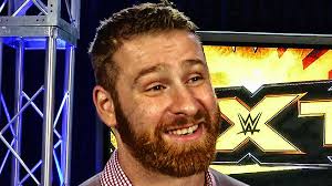 Image result for sami zayn