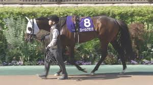 News source: JRA日本中央競馬会