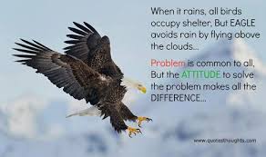 Eagles on Pinterest | Inspirational quotes, George Patton and ... via Relatably.com