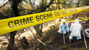 Trend Google: unabomber
