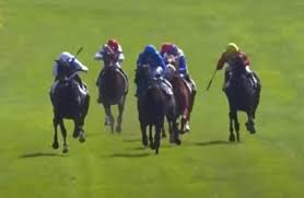 Horse Racing Nation - News update
