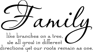 New Cute Quotes About Family. QuotesGram via Relatably.com