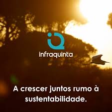 Sul Informação - News update