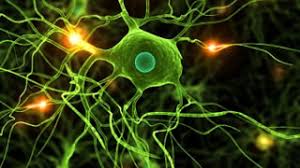 Research Shows that Neurochemical Imbalances Cause Higher PTSD Susceptibility