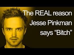 Trentino - Jesse Pinkman (BITCH!) - Jesse Pinkman video - Fanpop via Relatably.com