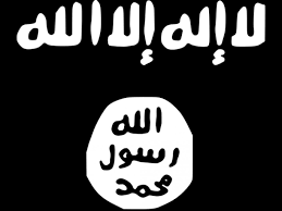 Image result for ISIS FLAG