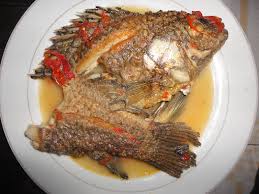 Image result for samaki