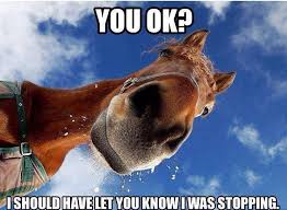 Image result for ok good meme