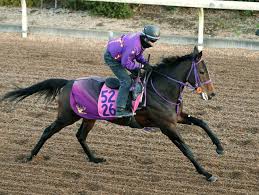 News source: Yahoo!ニュース