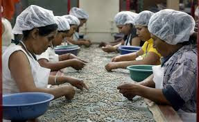 Image result for Training, Employment and Rural Development
