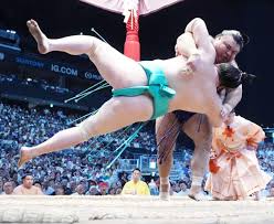 nikkansports.com - News update