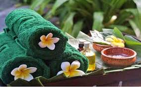Hasil gambar untuk SPA BALI