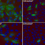  Study: Far Ultraviolet C Light Inactivates Airborne Viruses