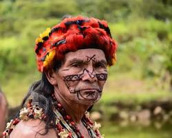 Imagen de Amazonía ecuatoriana, Ecuador