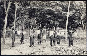 Image result for rumah estate di  pulau carey