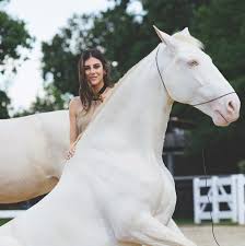 Trend Google: alessia orro