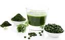 Algen chlorella