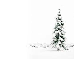 Image result for white christmas background images