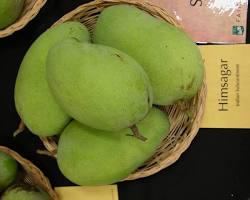 Image of Himsagar mango variety