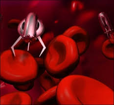 Image result for nanotechnology