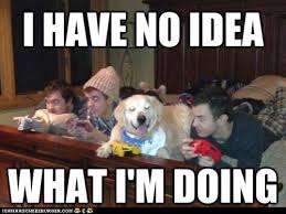 Image result for Animal Meme
