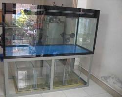 Kính cường lực chịu lực cho hồ cá