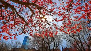 May begins as rainy weather clears out for a sunny, warmer Friday