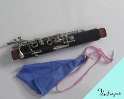 DIY instrument cleaning