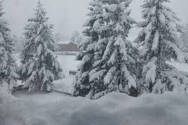 News source: Actu.fr