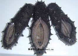 「平潭美食」的圖片搜尋結果