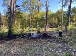 Flächenbrand im Leeser Wald
