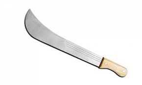 Image result for images of cutlass