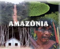 Resultado de imagem para floresta amazonica