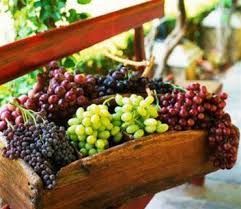 Các thực phẩm làm tăng vòng 1 