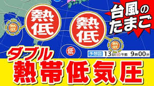 TBS NEWS DIG