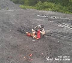 Image result for mh17 wings