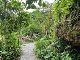 News source: 中央社 CNA