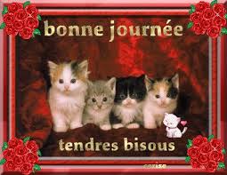 Résultat de recherche d'images pour "bonne journée blingee"