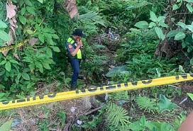 Senior high female student found half-naked, dead in Toledo