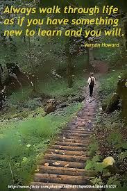 Quotes on Pinterest | Old Soul, Dalai Lama and Love Is via Relatably.com