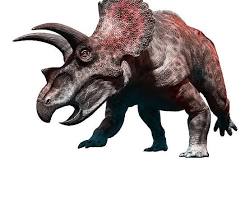 トリケラトプスの画像