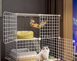 stylish pet cage from Brand Aの画像