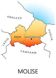 Image result for molise map